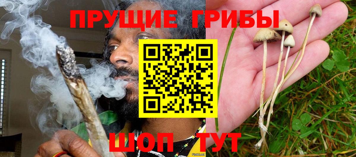 Псилоцибиновые грибы Magic Shrooms Майский